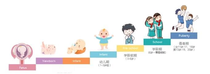 带你了解正常儿童生长发育规律