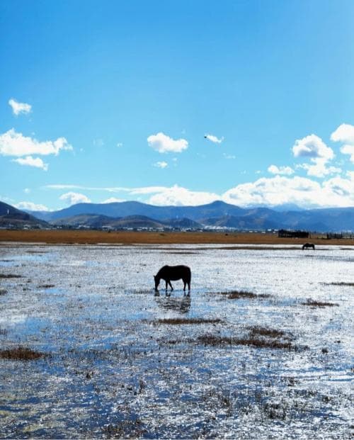 全国县域文旅预订量环比增幅超22倍 宝藏小城的深度旅游“出圈”路