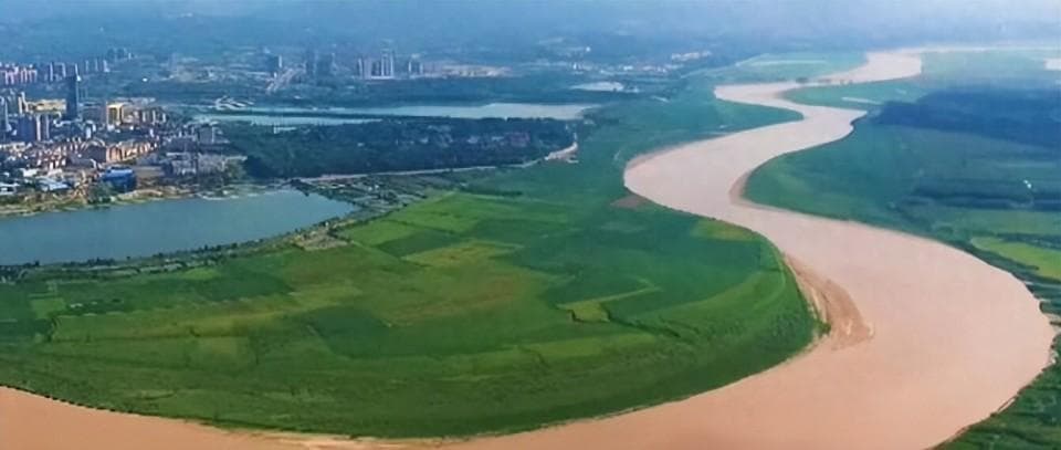 黄河每天冲鱼入海，多数淡水鱼无法在海中存活，那它们去哪了？