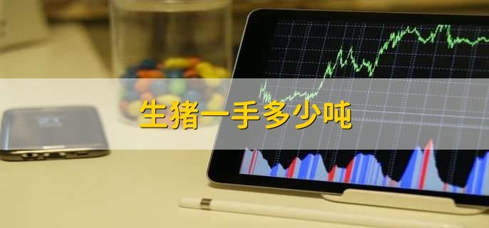 生猪期货交易入门：一手多少吨？