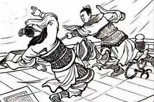 必然与偶然：解读人类进化与历史发展的双重维度