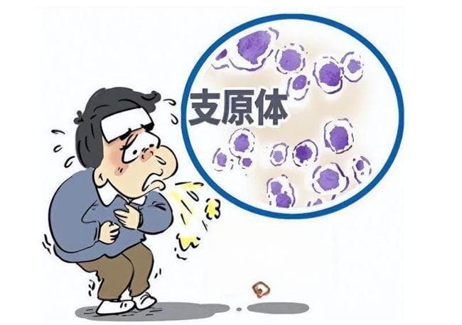支原体感染高发，百灵咳速停糖浆联合用药效果好