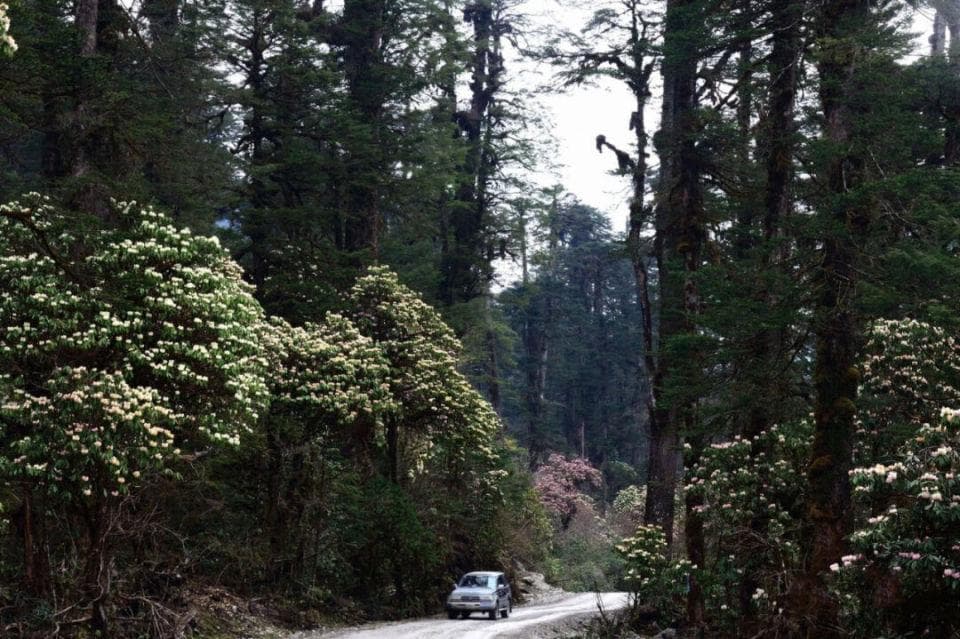墨脱这条巡边路，必去！