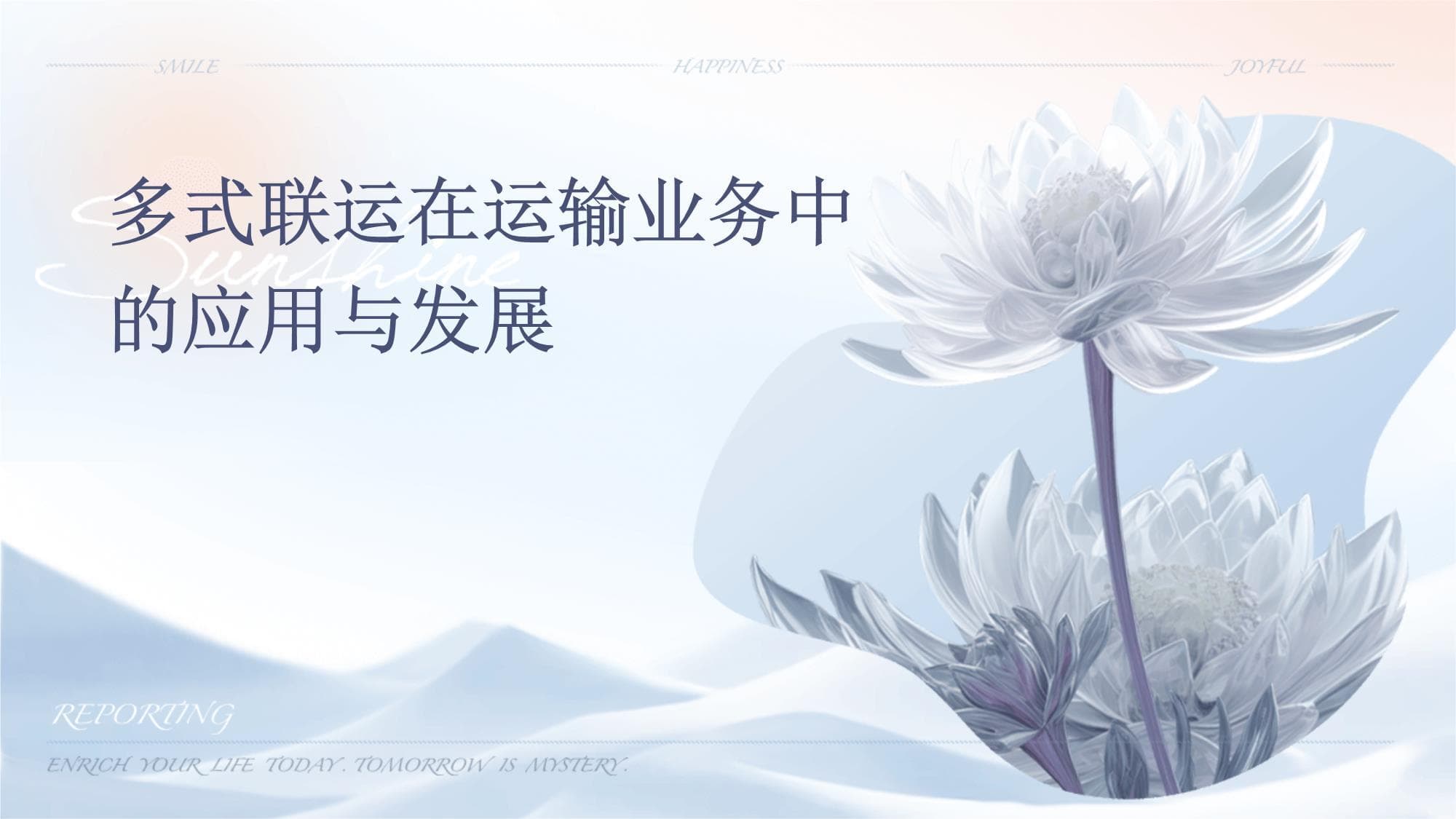 多式联运在运输业务中的应用与发展