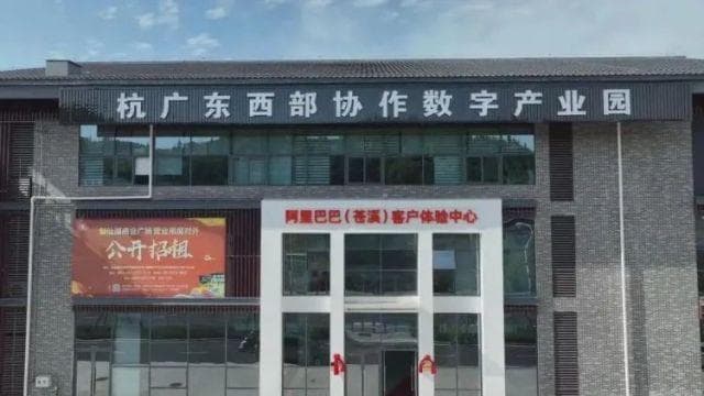 助力四川苍溪数字化转型 杭州东西部协作案例获评第五届全球减贫案例