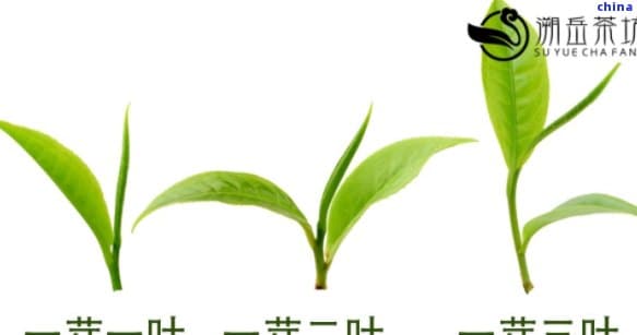 银根是什么？银根是什么意思？