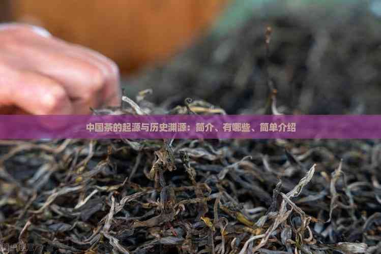 中国茶的起源与历史渊源：从神农氏到《茶经》