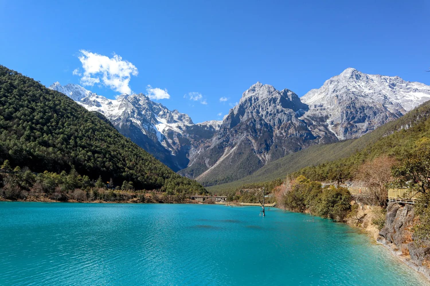 “繁花团”未播先火，跨龄旅行综艺引热议