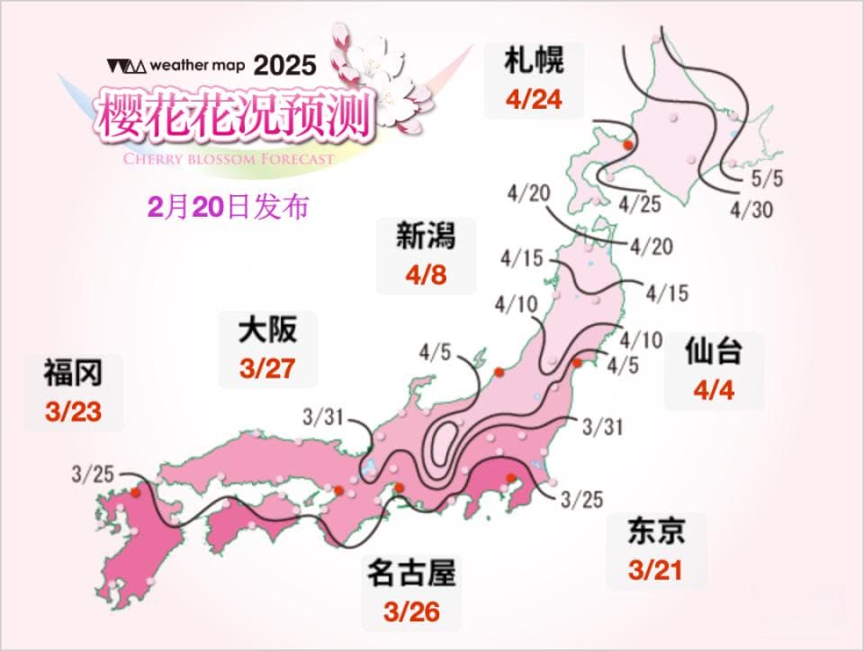 速收藏！2025日本樱花季，热门城市赏樱全规划