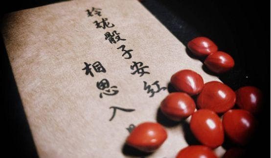 红豆古意：丰富的象征，深远的情谊