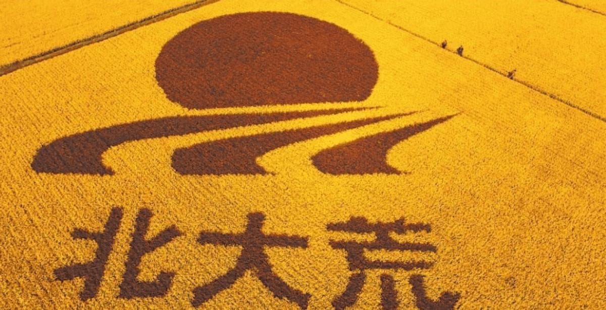 我国最大粮仓北大荒，辛苦开发半个世纪，如今为何要退耕还“荒”