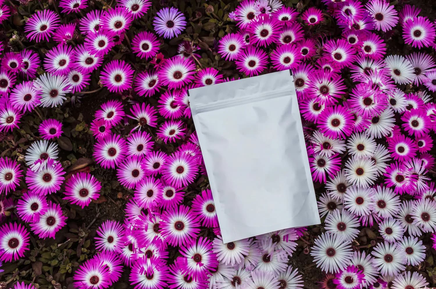味精真的有害吗？真相揭秘！