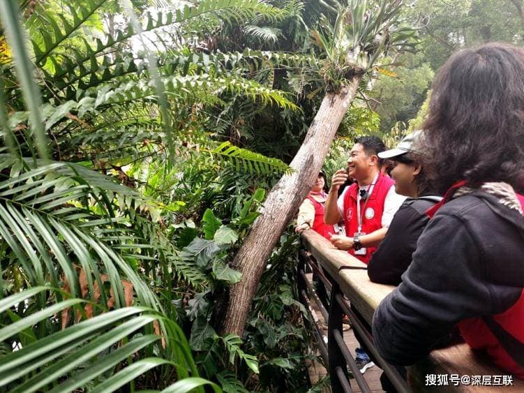 景区导览的数字化与智慧化，带来旅游体验的升级