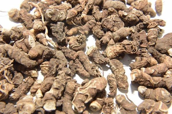 远志石菖蒲茯苓益智仁配伍的功效