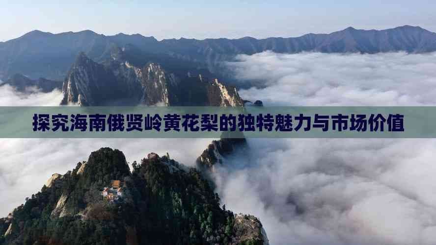 探究海南俄贤岭黄花梨的独特魅力与市场价值
