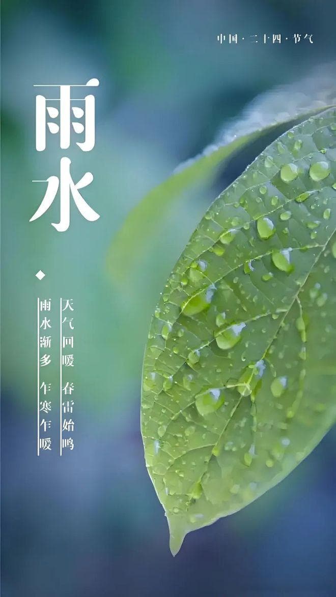 雨水节气来临，润泽身心的5款茶，畅享春日暖阳！