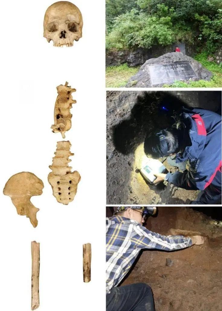 新研究！东亚现代人起源有新发现