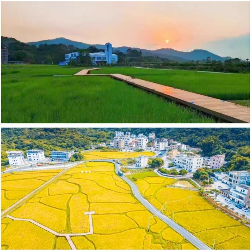 研学旅游激活乡村振兴新动能，黄洞村年收入增35%