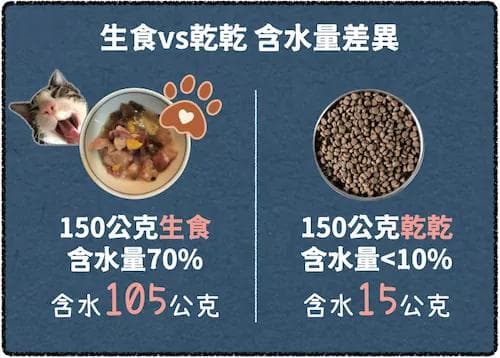 猫咪缺水？每日建议喝水量及让猫咪多喝水的7大绝招