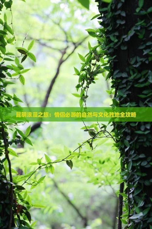 昆明浪漫之旅：情侣必游的自然与文化胜地全攻略
