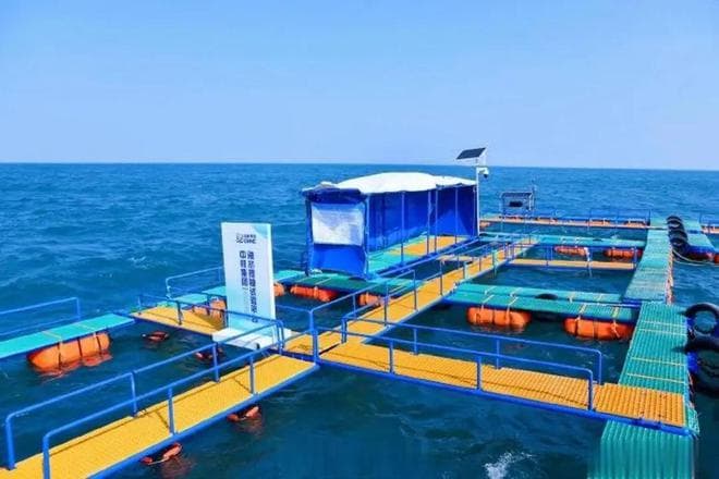 中国海水提铀技术的突破：为何能解决能源难题？