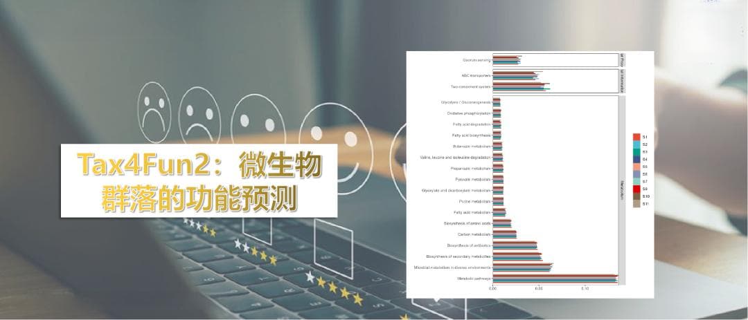 Tax4Fun2分析：基于16S数据预测微生物群落的功能（R语言一句代码搞定）