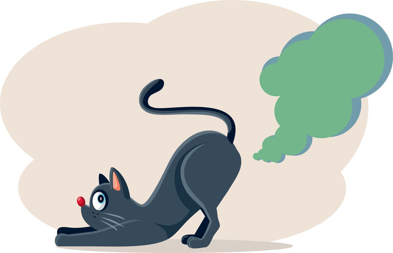 猫咪会放屁吗？从原因到改善方案的全面解析
