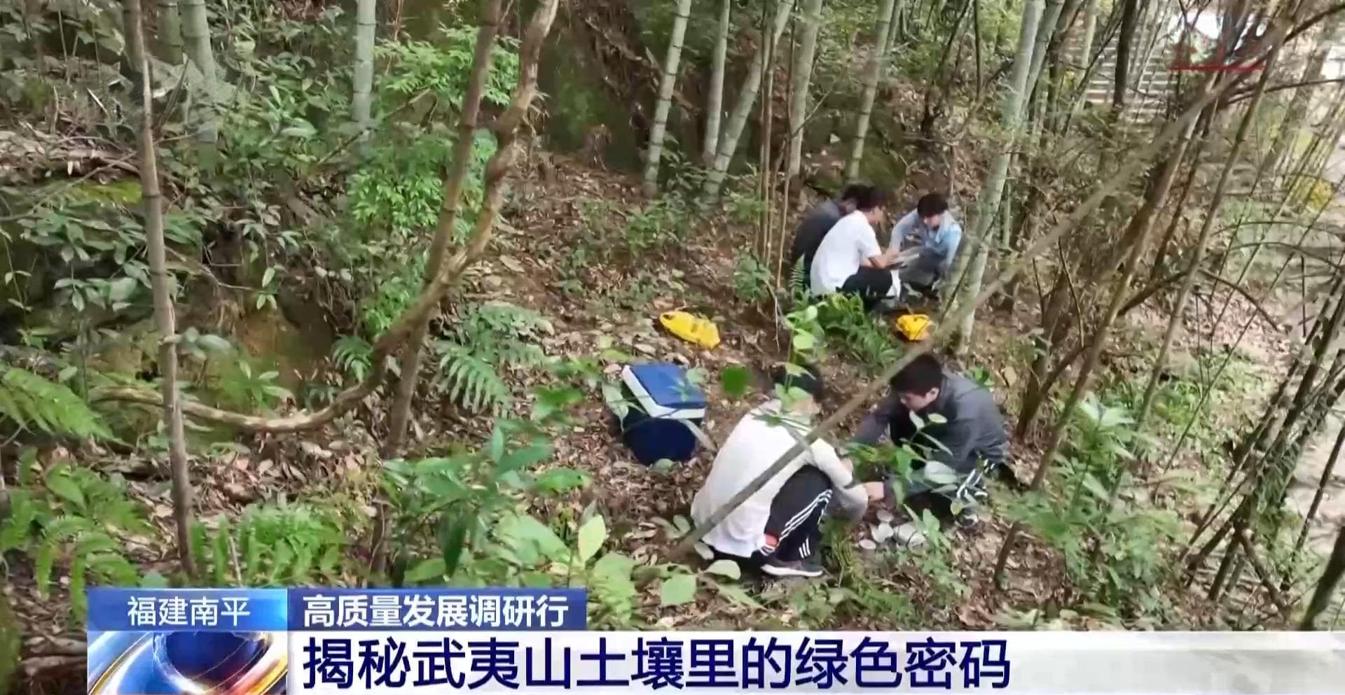 土壤会“呼吸”、空气能卖钱……武夷山生态保护有啥秘诀？