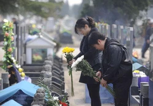 明天宜扫墓吗？2025年上坟最佳日期表出炉