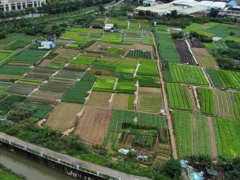 购买农村宅基地的风险