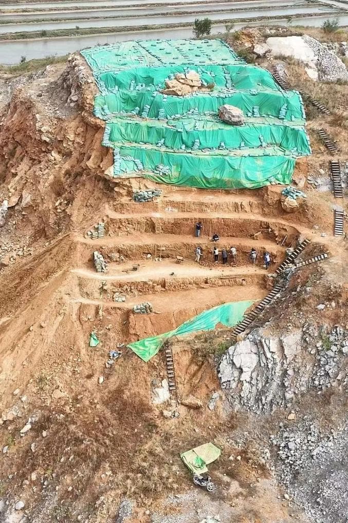 重大发现！180万年前，辽宁居然有……