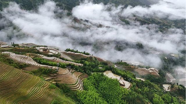 广西十大特色名小吃，这十大特色小吃你吃过几样？