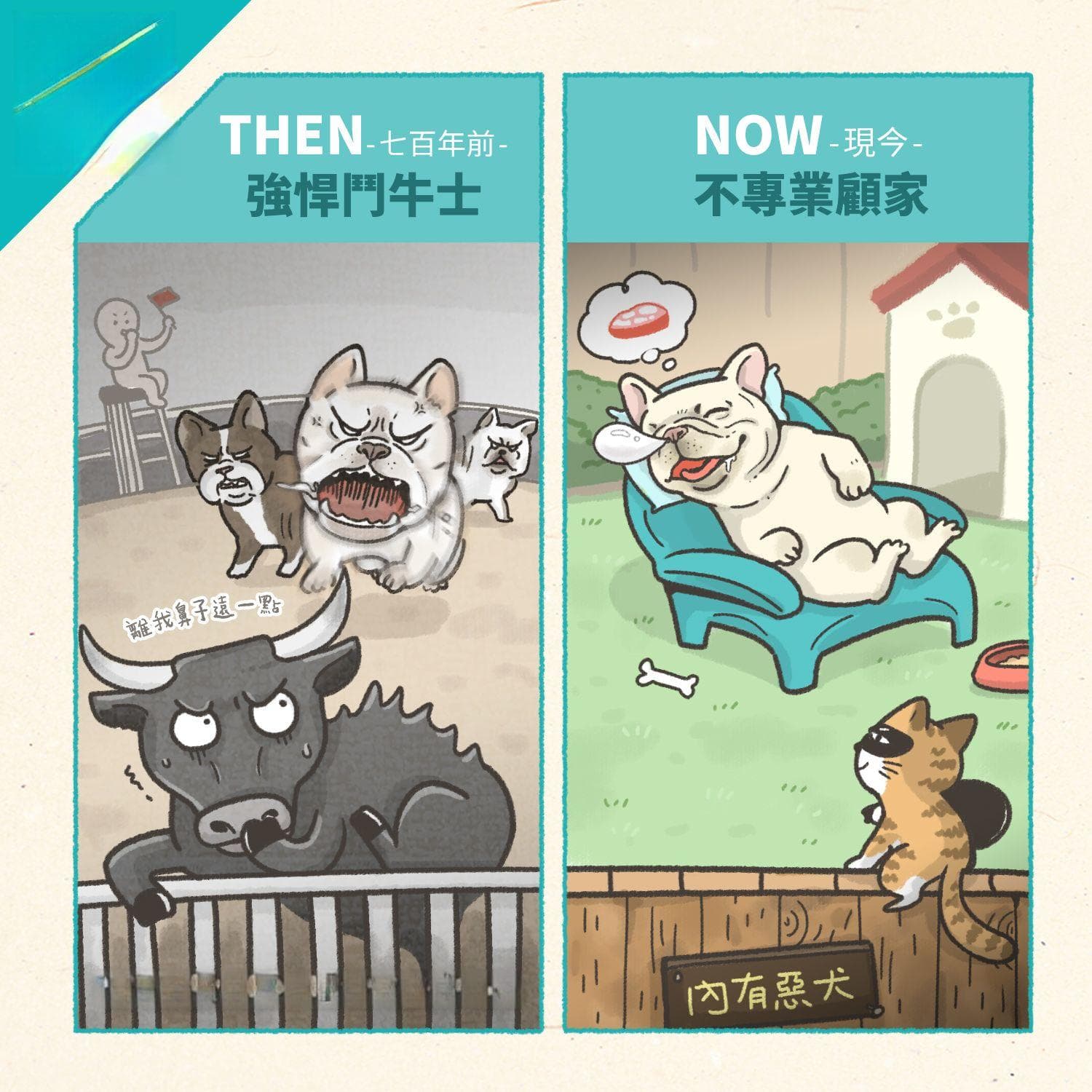 法鬥飼養指南：健康、照顧、個性，5大面向全解析