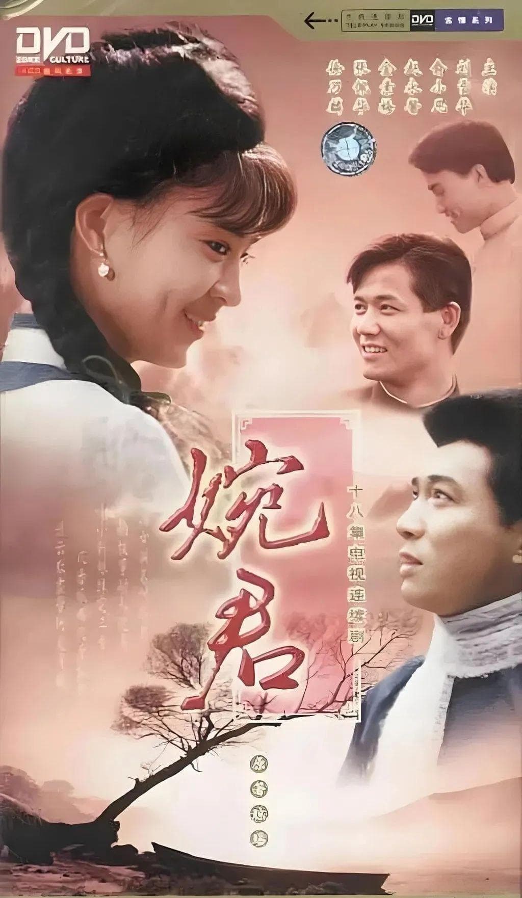 琼瑶经典剧：续写荧幕传奇，情牵几代人心