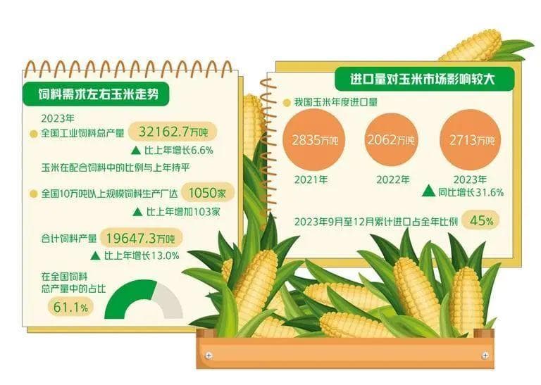 今年玉米市场走势如何？