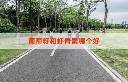 葡萄籽和虾青素哪个好：全面比较与解析