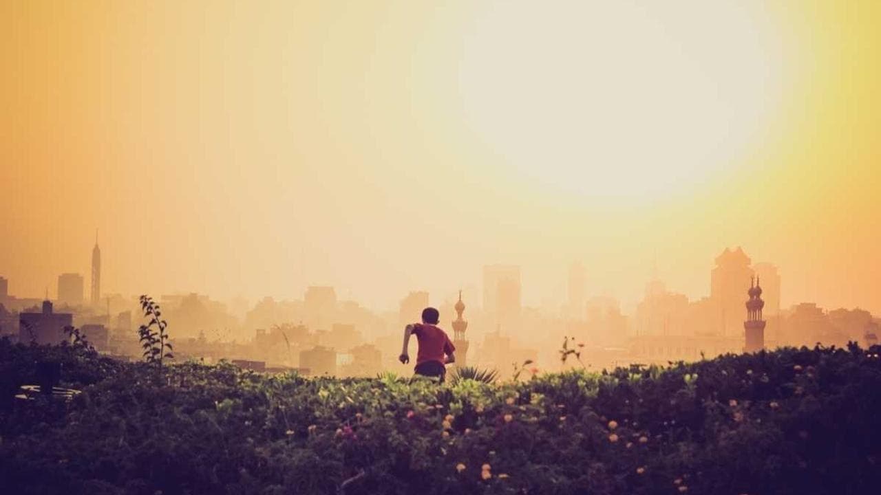 考古学研究生就业前景全解析：哪个专业方向更有前途？