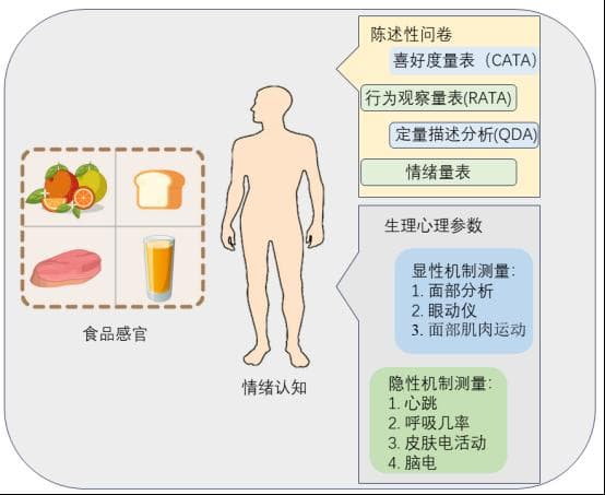 数据挖掘与建模技术在食品嗅觉和味觉感知中的应用研究