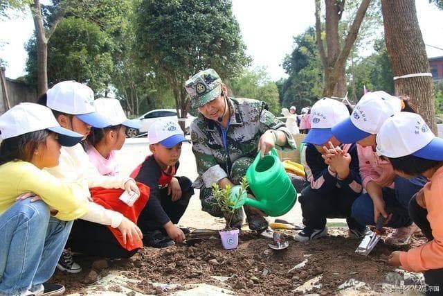 研学旅行安全方案：守护每一步探索之旅