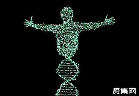 丹尼索瓦人DNA研究显示：晚更新世长期生活在青藏高原