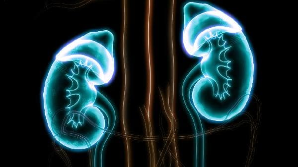肾上腺皮质炎：病因、症状与治疗全解析