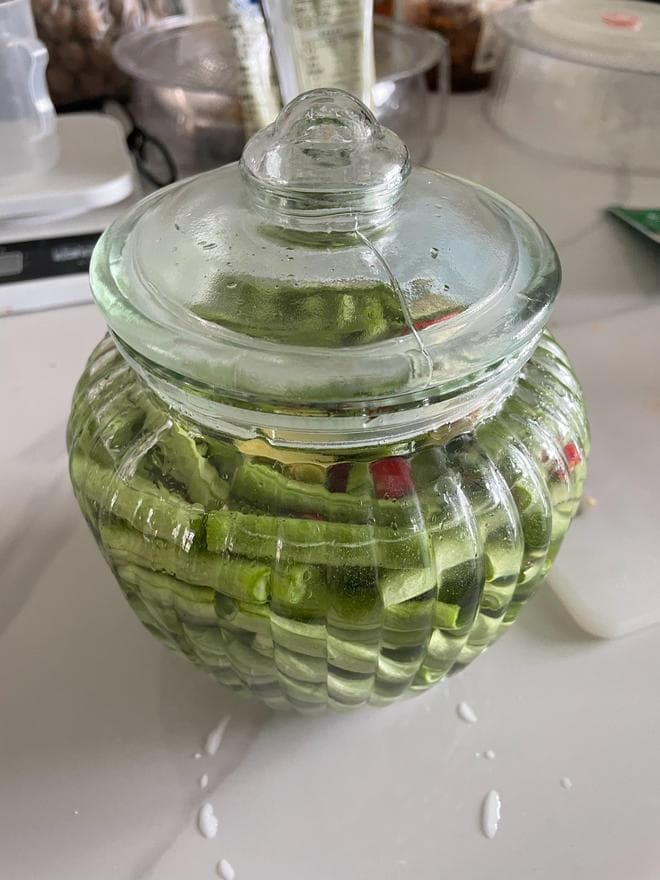 自制的泡菜（酸豆角）之自来水版