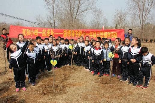 淄博师专附小一年级五班开展植树活动，孩子们亲手种下希望之树