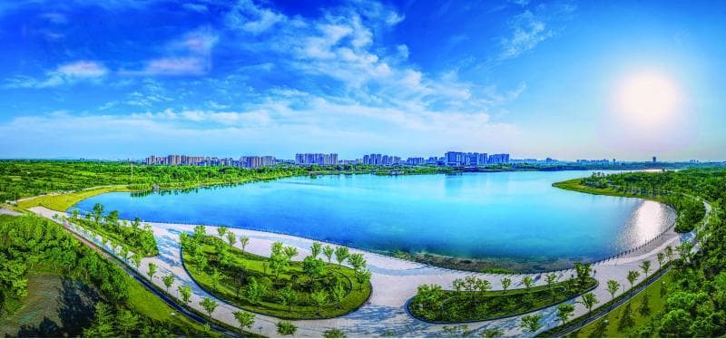 合肥新站高新区：向“新”而行 加速迈向“智造”新一站