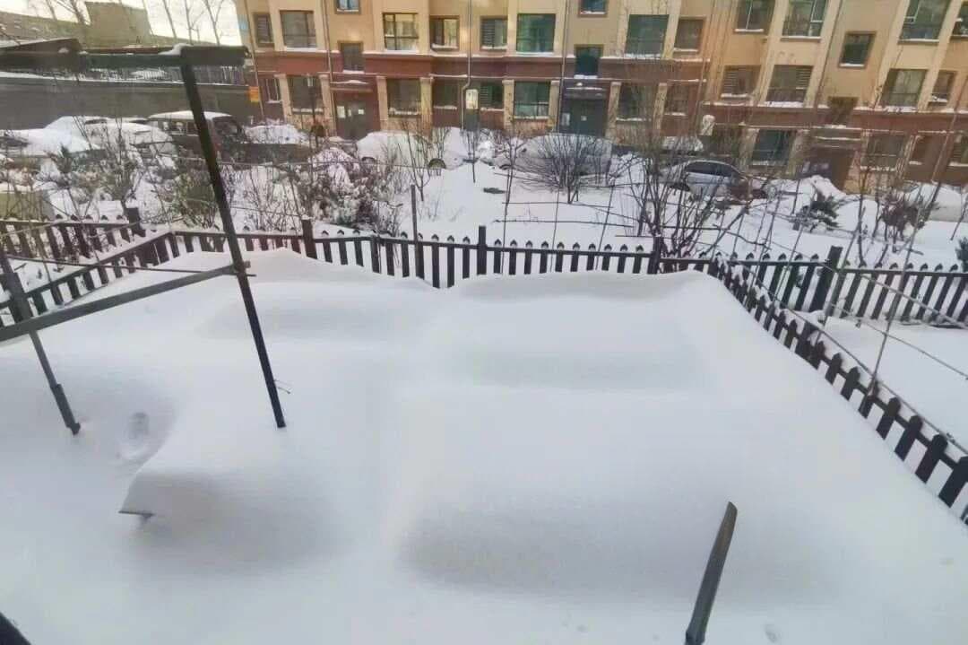 最冷-33℃，东北三省花园代表，超详细月季、绣球过冬保护经验，耐寒植物清单分享