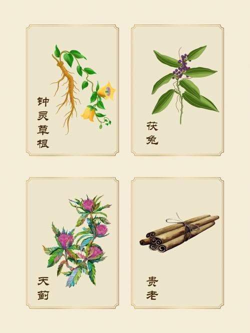 农村常见中药材大全：功效与采集指南