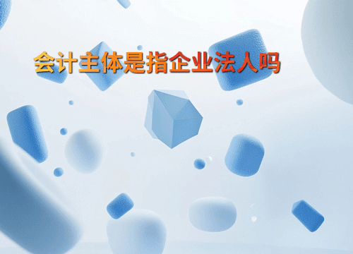 会计主体：不只是企业法人