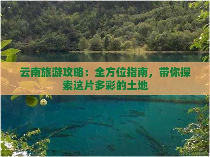 云南旅游攻略：全方位指南，带你探索这片多彩的土地