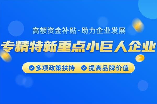 2025年专精特新重点小巨人认定条件（重点小巨人企业申报要求）