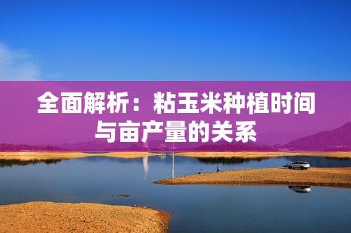 全面解析：粘玉米种植时间与亩产量的关系
